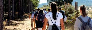 Qué lugares visitar en un viaje escolar Ávila